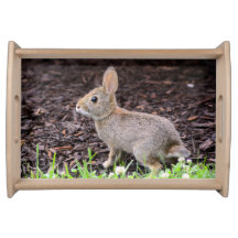 Bébé Lapin Rabbit Servant Plateau