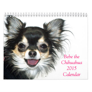 Bebe le calendrier du chiwawa 2015