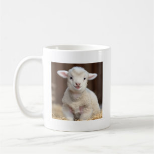 Bébé mignonne Mouton - Mignonne Mug animal
