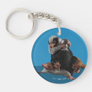 Bébé Nifflers Trouve Un Prix