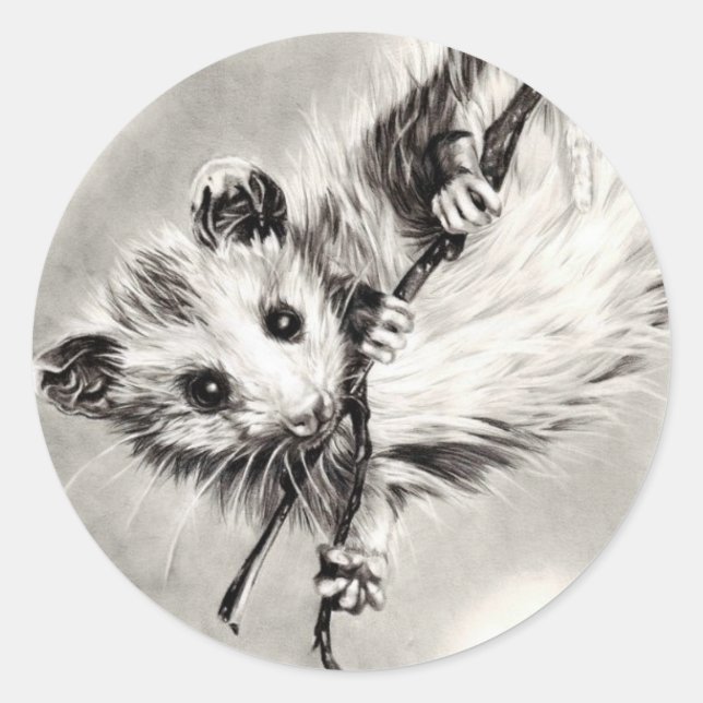 Bébé Opossum Stickers (Devant)