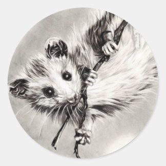 Bébé Opossum Stickers