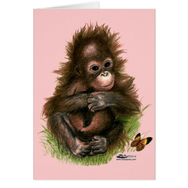 Bébé orang-outan et papillon (Devant)