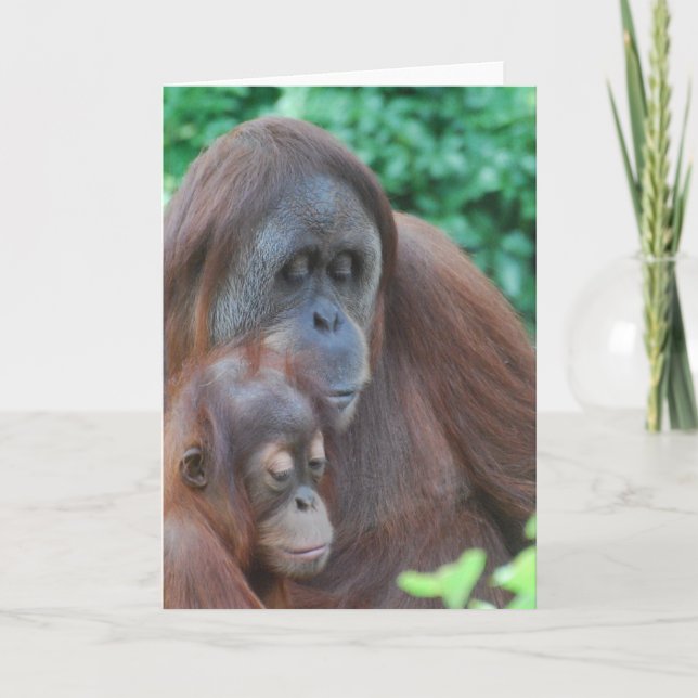 Bébé Orangutan avec carte de voeux mère (Devant)