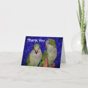 Bébé Quaker Parrots Animal Carte de remerciements