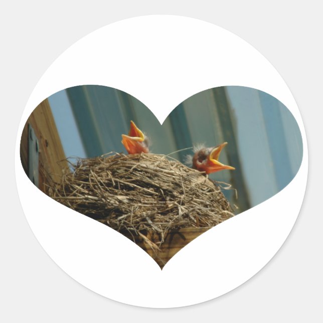 Bébé Robins Coeur Sticker (Devant)