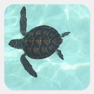 Bébé Sticker de tortue de mer