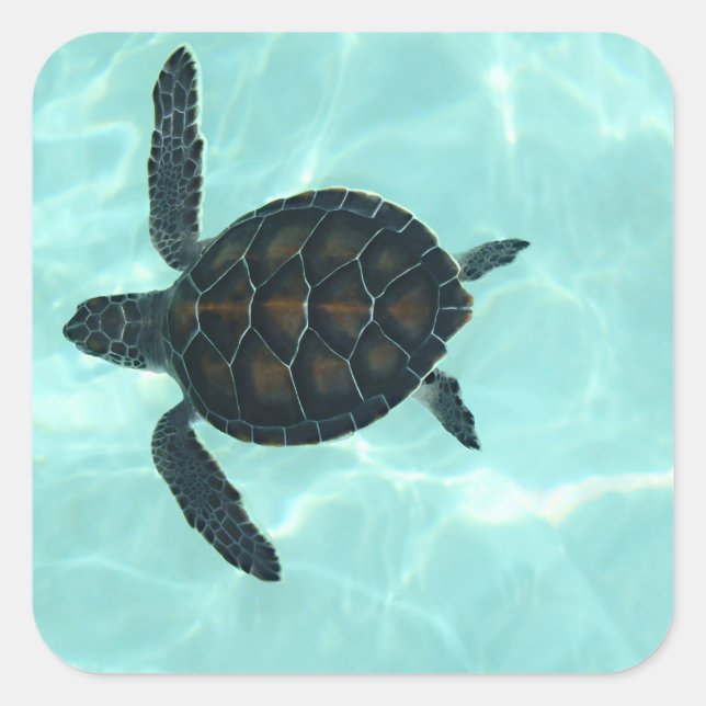 Bébé Sticker de tortue de mer (Devant)