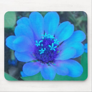 Bébé Zinnia sur un Tapis de Souris Bleu