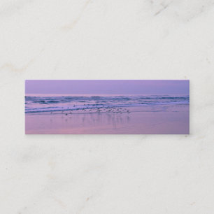 Bécasseaux sur la plage aux cartes de contact de