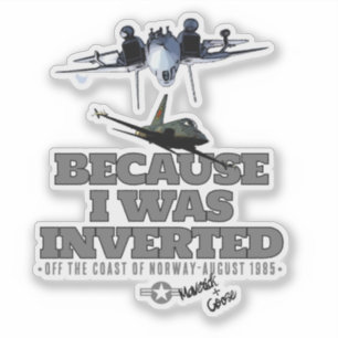 BECAUSE I WAS INVERTED