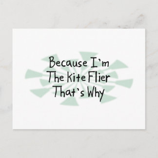 Because I'm the Kite Flier Postcard