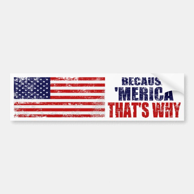 BECAUSE 'MERICA THAT'S WHY Bumper Sticker (Front)