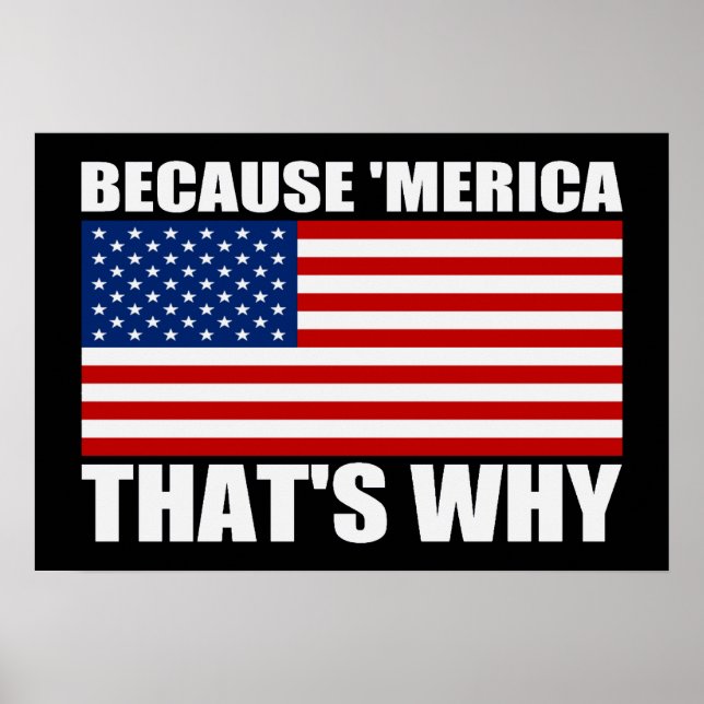 BECAUSE 'MERICA THAT'S WHY US Flag Poster (small) (Front)