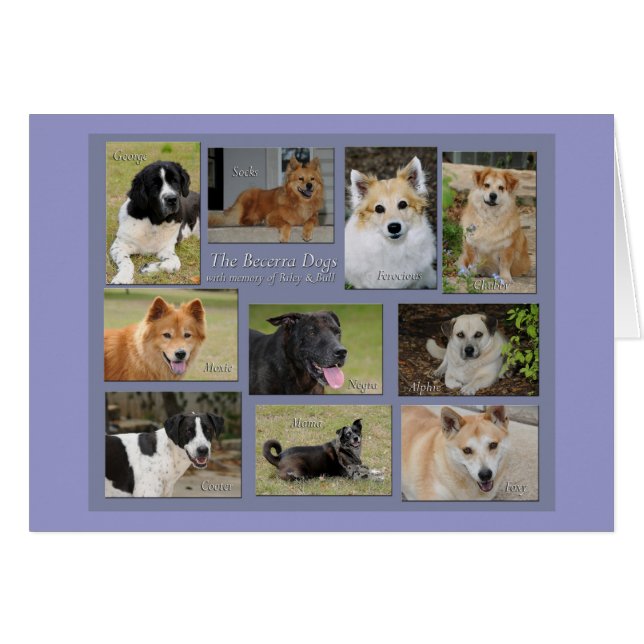Becerra dogs - Customized (Front Horizontal)