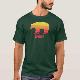 Beckley West Virginia Rainbow Bear T-Shirt