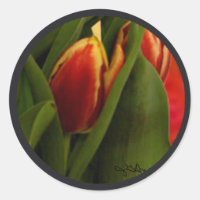 Becky's Tulips jGibney Signature Greenville SC The