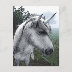 Becky's Unicorn Postcard
