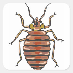 Bed Bug Sketch Square Sticker