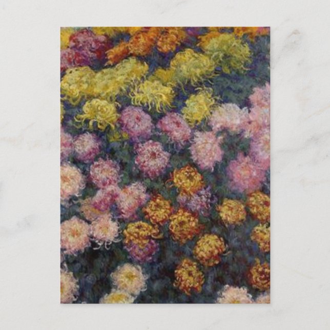 Bed of Chrysanthemums by Claude Monet Postcard (Front)