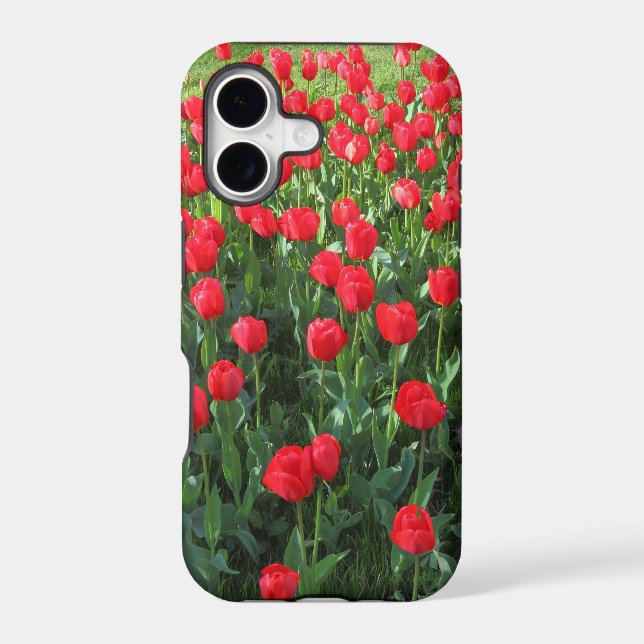 Bed of Red Tulips 01 (Back)