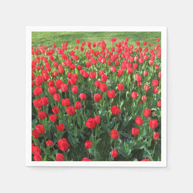 Bed of Red Tulips 01 Napkin (Front)