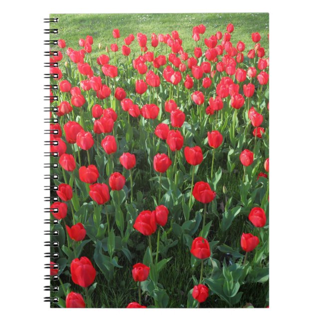 Bed of Red Tulips 01 Notebook (Front)