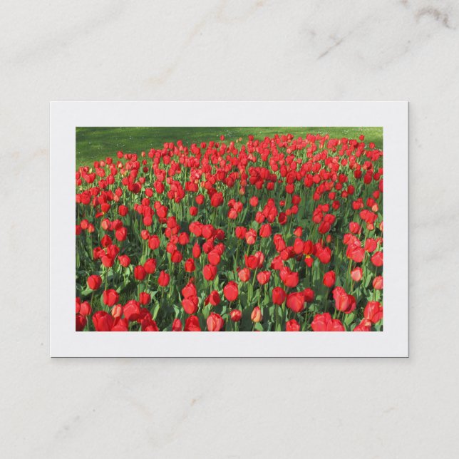 Bed of Red Tulips 02 (Bordered) Business Card (Front)