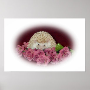 Bed of Roses Hedgehog Poster