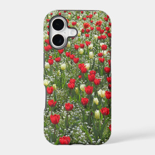 Bed of Tulips