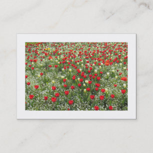 Bed of Tulips (Bordered) Business Card