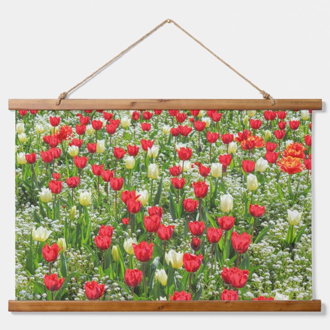 Bed of Tulips, Gorsedd Gardens, Cardiff, Wales. Hanging Tapestry (Front)