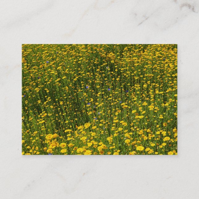Bed of Yellow Daisies Business Card (Front)