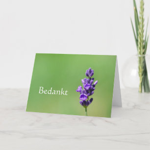 Bedankt - Thank you in Dutch with lavender flower Card