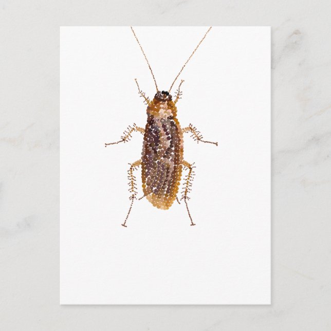 BEDAZZLED ROACH POSTCARD (Front)