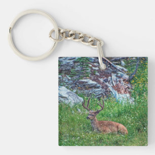 Bedded Buck Keychain