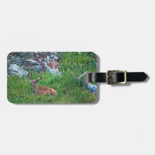 Bedded Buck Luggage Tag