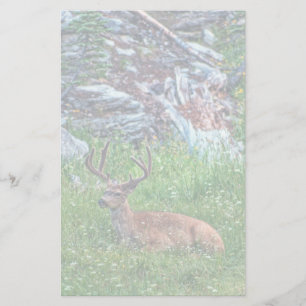 Bedded Buck Stationery