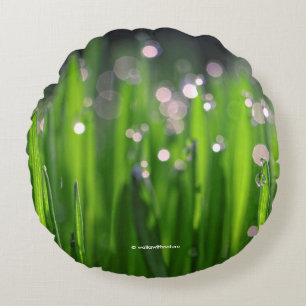 Bedewed Wheatgrass in the Morning Light Round Pillow