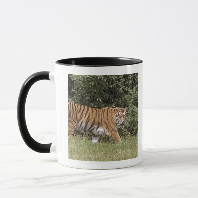 Bedfordshire, England 2 Mug (Left)