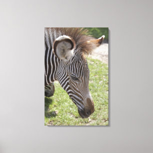 Bedfordshire, England Canvas Print