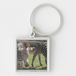 Bedfordshire, England Keychain