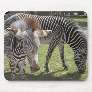 Bedfordshire, England Mouse Pad