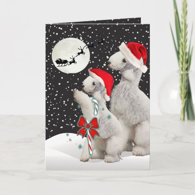 Bedlington Season Greetings Cards (Front)