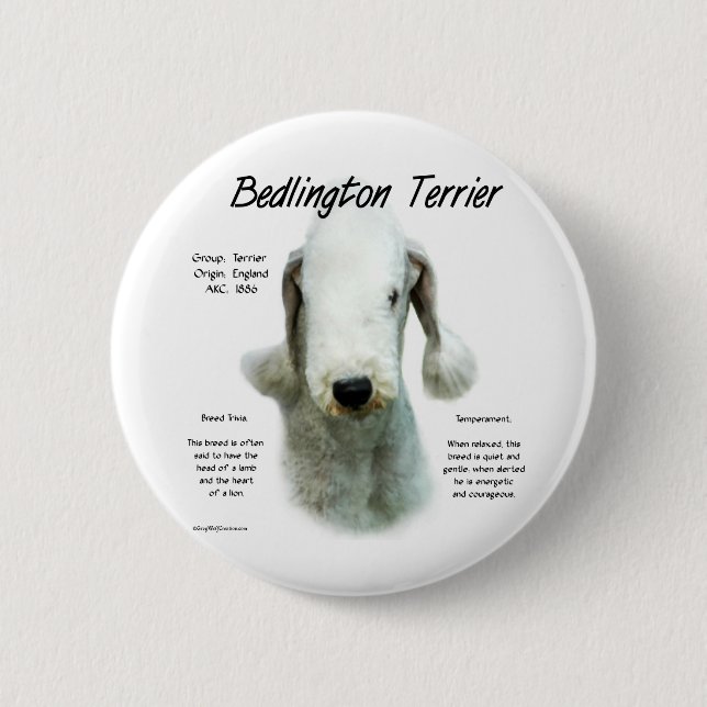 Bedlington Terrier History; All About Bedlingtons 2 Inch Round Button (Front)