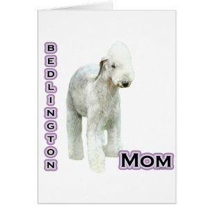 Bedlington Terrier Mom 4