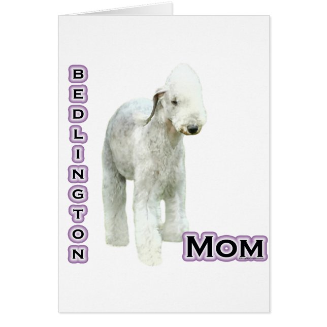Bedlington Terrier Mom 4 (Front)