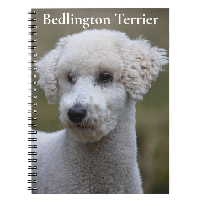 Bedlington Terrier Notebook (Front)