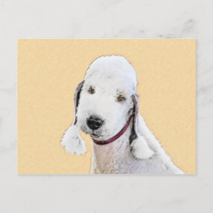 Bedlington Terrier Painting - Original Dog Art Postcard