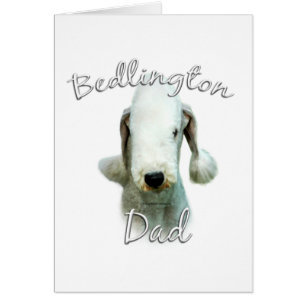 Bedlington Terrier Papa 2